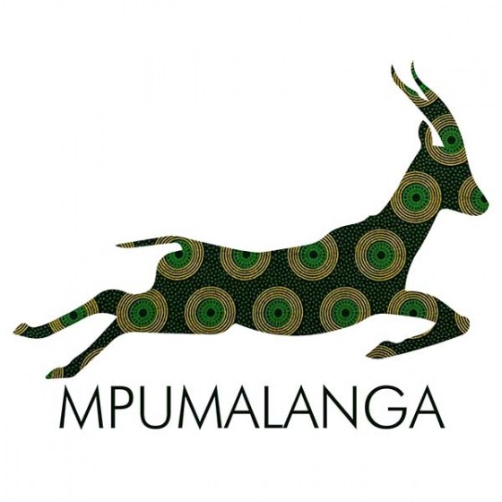 Shweshwe Buck Tourism Apron5